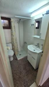 ein Badezimmer mit Toilette, Waschbecken und Dusche in der Unterkunft Seaside House in Paralia Dionisiou + 8 Fotos