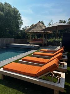 een rij ligstoelen naast een zwembad bij La Jauchelle in Thimougies