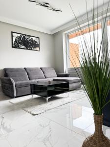 a living room with a couch and a table at Laguna Beskidów Resort - Apartament A74 in Zarzecze