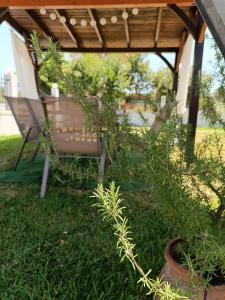 A garden outside Evi's home