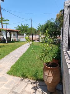A garden outside Evi's home