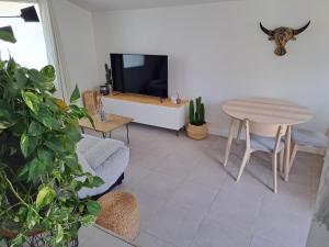 TV a/nebo společenská místnost v ubytování T2 Les Garrigues