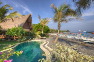 艾湄灣的住宿－甘榜別墅，一个带游泳池和棕榈树的度假村