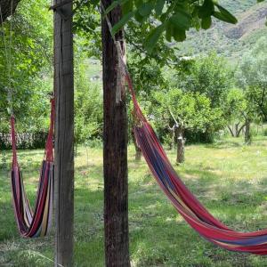 Photo de la galerie de l'établissement BenSon Adventures Resort, à Gomkʼ