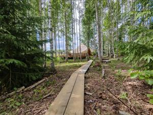 a wooden path through a forest with a yurt in the background at Käkiniitty Glamping Cuckoo Camp in Tammela +8 photos