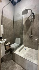 a bathroom with a shower and a toilet and a tub at Wald Hotel Lagodekhi in Lagodekhi