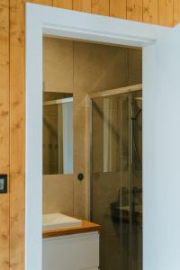 a bathroom with a shower with a glass door at Villa Baltica Premium in Niechorze +38 photos