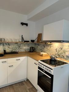 Kuchyň nebo kuchyňský kout v ubytování Apartmány u rybníčka