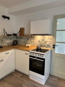 Kuchyň nebo kuchyňský kout v ubytování Apartmány u rybníčka