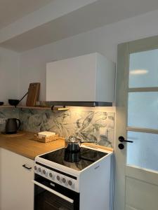 Kuchyň nebo kuchyňský kout v ubytování Apartmány u rybníčka