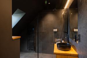 a bathroom with a sink and a shower at La Villa du Morakopf - Colmar in Niedermorschwihr +19 photos
