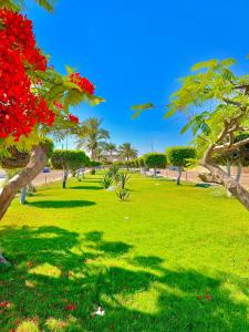 Taman di luar 50% Off. 2BR , 2BR Ground floor with pool view, private beach access, security 24/7 شاليه ٢ غرفه ، ٢ حمام ف الدور الارضي قدام جنينه و حمام السباحه مباشره ، شاطيء خاص بالقرية و أمن ٢٤ ساعه و مسجد خاص
