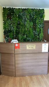 a large green wall behind a wooden garage door at Casa Cristal in Eforie Nord