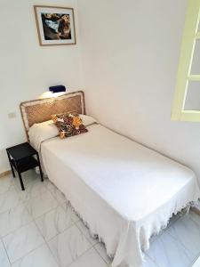 a twin bed in a room with a window at Casa Belén in Pozo Negro