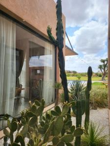 Billede fra billedgalleriet på Villa Marrakech i Oubadine