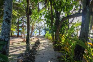 un sentiero tra le palme da cocco sulla spiaggia di Inave Holidays a Rarotonga