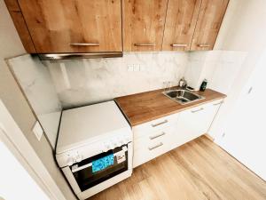 雅典Minimalistic Studio with Acropolis View Shared Roof Top的一个带木制橱柜和水槽的小厨房