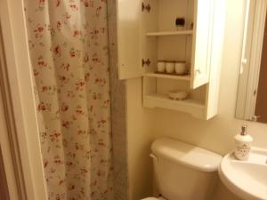 a bathroom with a toilet and a shower curtain at Maria's Homestay in Thornhill