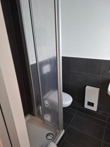 e bagno con servizi igienici e cabina doccia. di CityOase Magdeburg Studios am Königsweg, Studio 4, WiFi, Stellplatz, Netflix a Magdeburgo Altre 3 foto