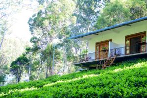 a house on the side of a hill at Green Wood Hotel in Ella
