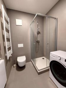 Koupelna v ubytování Apartman Zoku s private garage parking free