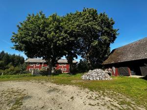 a tree and a barn with a pile of rocks at Villa Rönhult in Vilshult +28 photos