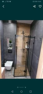 a bathroom with a shower and a toilet at Mohito 2 in Trupel +7 photos