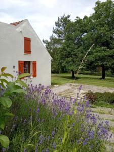 Zahrada ubytování Gite d'ALTONA