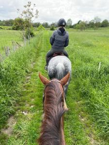 Billede fra billedgalleriet på Horse Cottage i Villalet