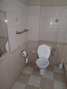 a small bathroom with a toilet and a shower at Hotel na Pláži in Doksy