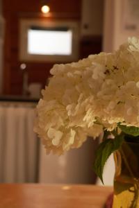 a vase filled with white flowers on a table at DeBoskie Domki in Mrągowo +32 photos