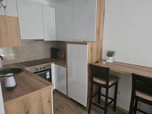 Kuchyň nebo kuchyňský kout v ubytování Apartman Kata