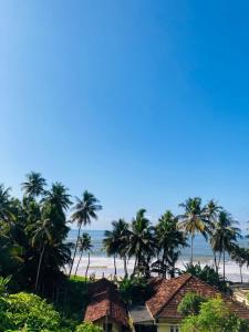 a view of a beach with palm trees and a house at Blue Ocean Hotel in Matara