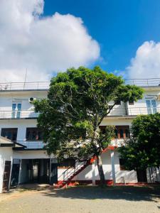 a tree in front of a white building at Blue Ocean Hotel in Matara