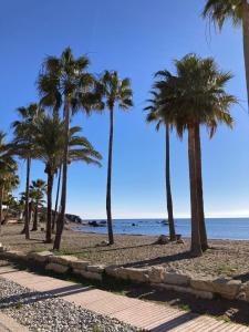 カサーレスにあるCasa Alinaの浜辺のヤシ並木