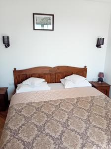 una camera da letto con un letto grande con due cuscini di Pensiunea Delia a Vatra Moldoviţei