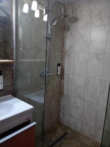 un bagno con doccia e lavandino di Pensiunea Delia a Vatra Moldoviţei Altre 5 foto
