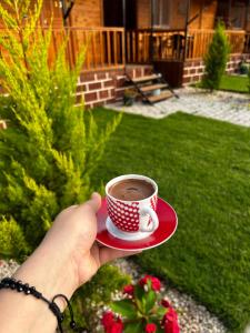 Comodidades para preparar café e chá em Adrasan yeşim apart evleri