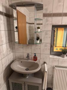 a bathroom with a sink and a mirror at Ferienwohnung Frank in Niederalteich +4 photos