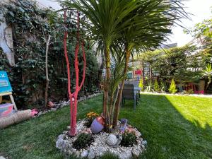 Vonkajšia záhrada v ubytovaní Electra Garden House