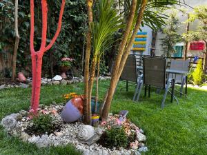 Vonkajšia záhrada v ubytovaní Electra Garden House