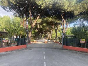 Kép Camping Dal Pino szállásáról Marina di Massában a galériában