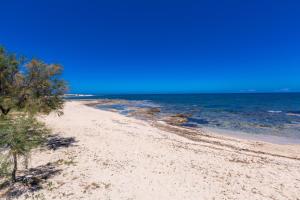 Gallery image of Villetta BiancAmare by BarbarHouse in Specchiolla  +20 photos