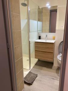 a bathroom with a shower and a sink and a toilet at Manoir en Pierre Chartres in Chartres