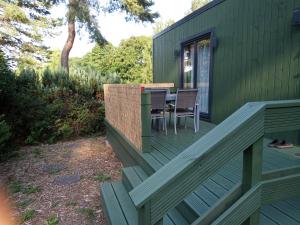 a deck with a table and chairs on a green house at Tinyhaus BLÜCHER in Stuer