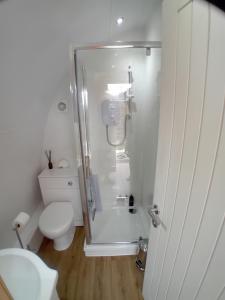 a white bathroom with a shower and a toilet at Fat Pete's Pod in Norwich