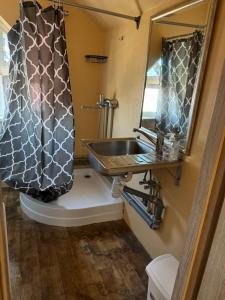 a bathroom with a sink and a shower curtain at Svečių Namai Darželis in Šiauliai