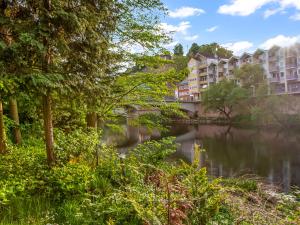un fiume con edifici di appartamenti e un ponte di Altstadt Apartment am Wasser mit großem Garten a Bad Kreuznach