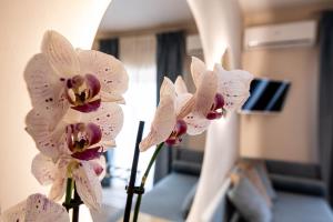 twoidiumidium flowers in a vase in a room at Agrigento tra templi e mare Luxury Home in Agrigento