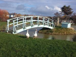 韦茅斯Jurassic Loft Apartment的两只鹅站在河上的一座白桥下